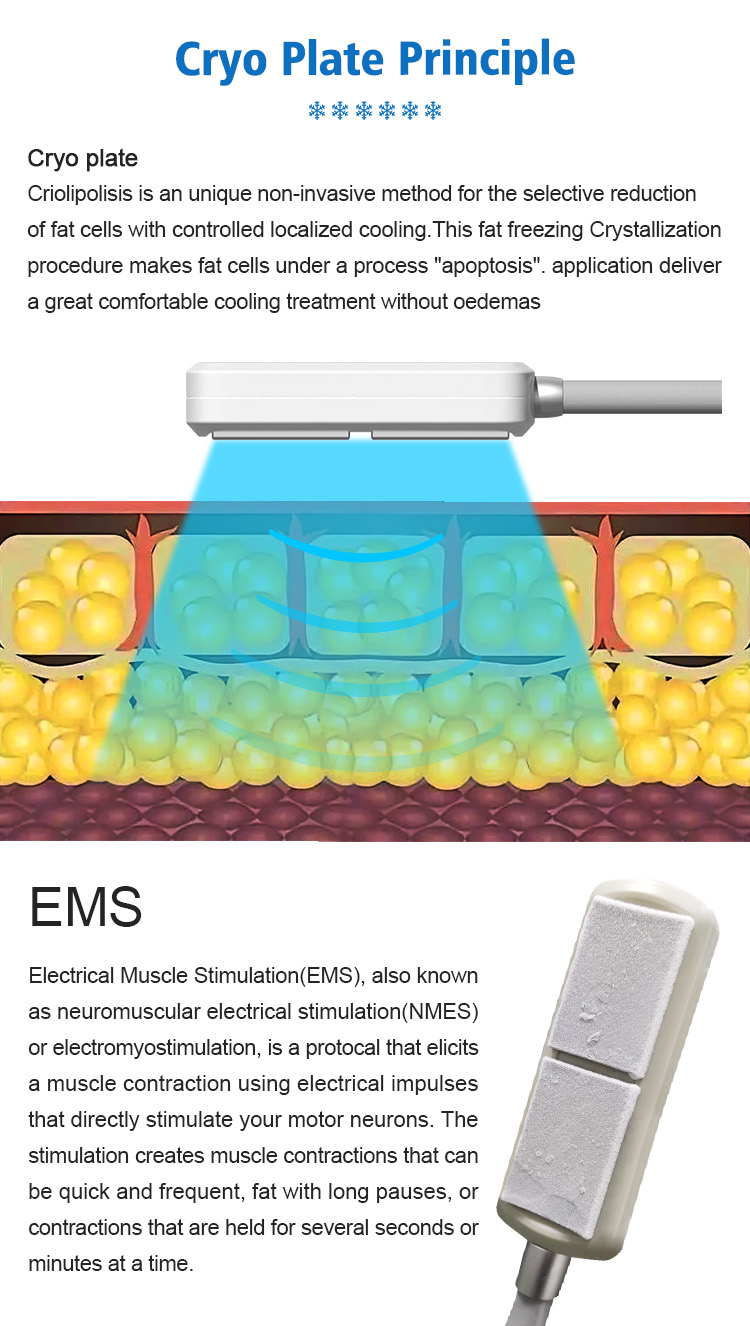 1688806062478031.jpg XM-227 PRO 英文详情 4.jpg